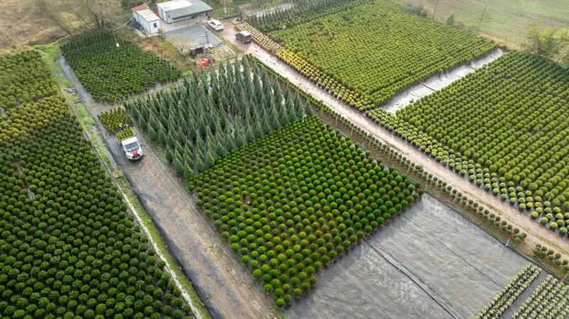 商超垃圾桶与家用垃圾桶选型对比：材质与容量差异解析