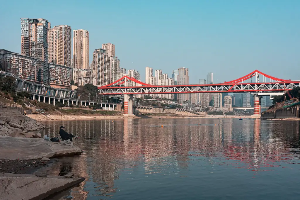 北京旸泰商贸收纳箱批发：不同型号参数对比与适用场景分析