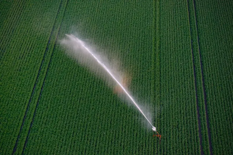 家居日用品批发企业如何通过收纳箱与衣架品类优化商超供货结构