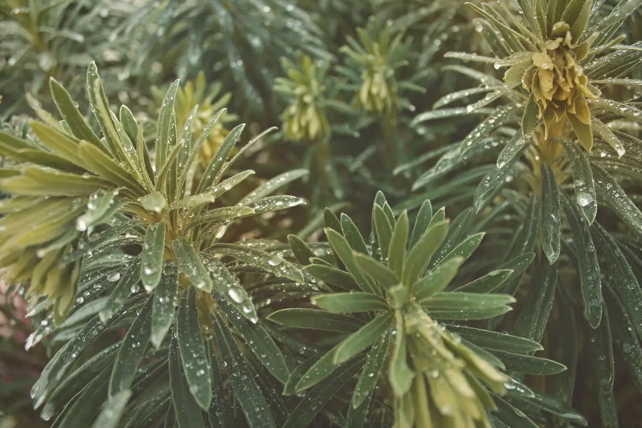 商超垃圾桶供货方案：北京旸泰商贸的稳定交付与品类优势
