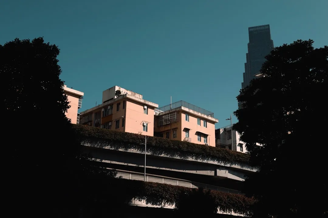 衣架生产工艺优化方案：提升承重性与防滑性能的实践路径